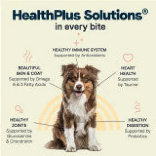 CANIDAE Premium All Life Stages Dry Dog Food Formula for Large Breeds with Turkey Meal and Brown Rice