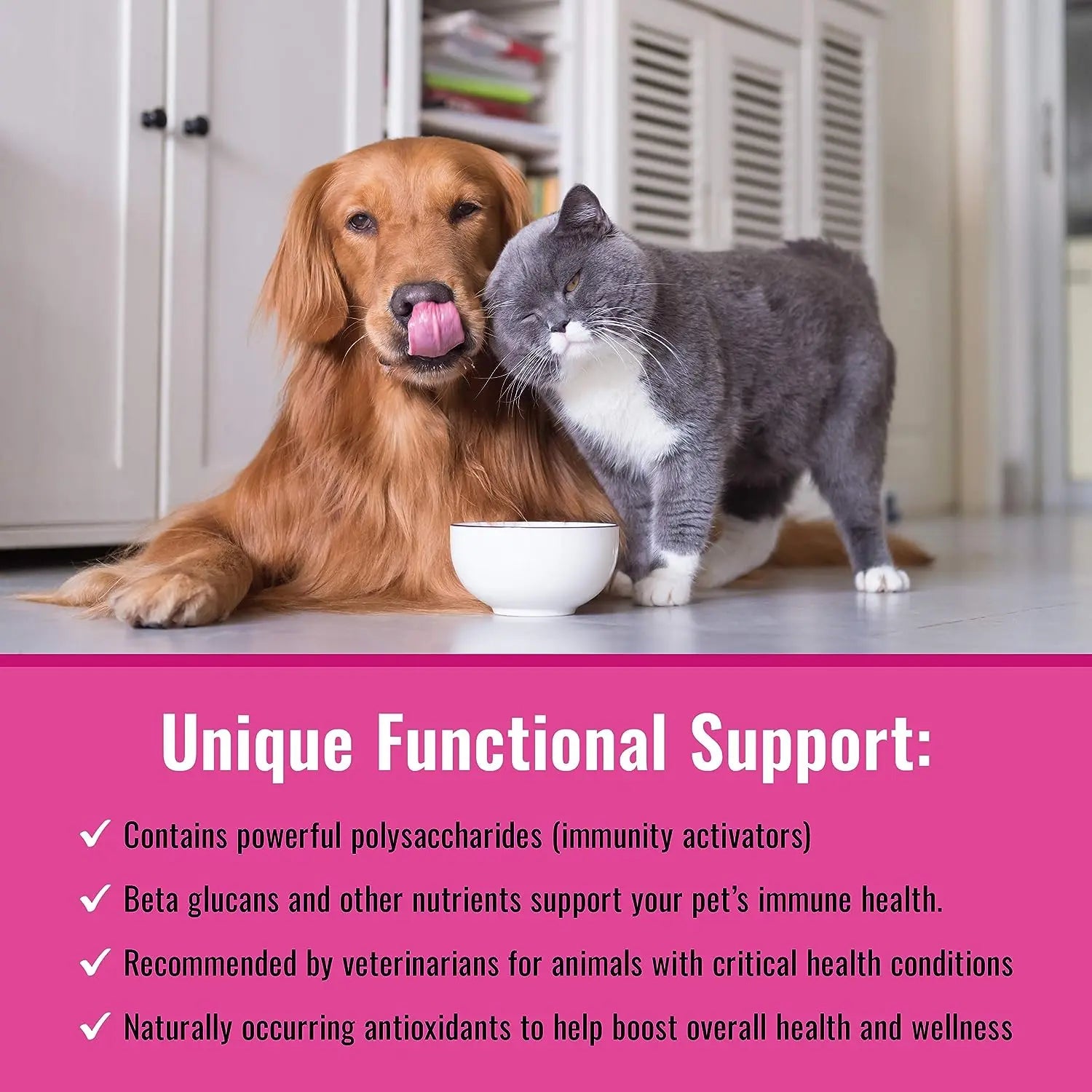 Canine Matrix Turkey Tail Mushroom-Based Holistic Defense Immune Support Dietary Supplement for Dogs