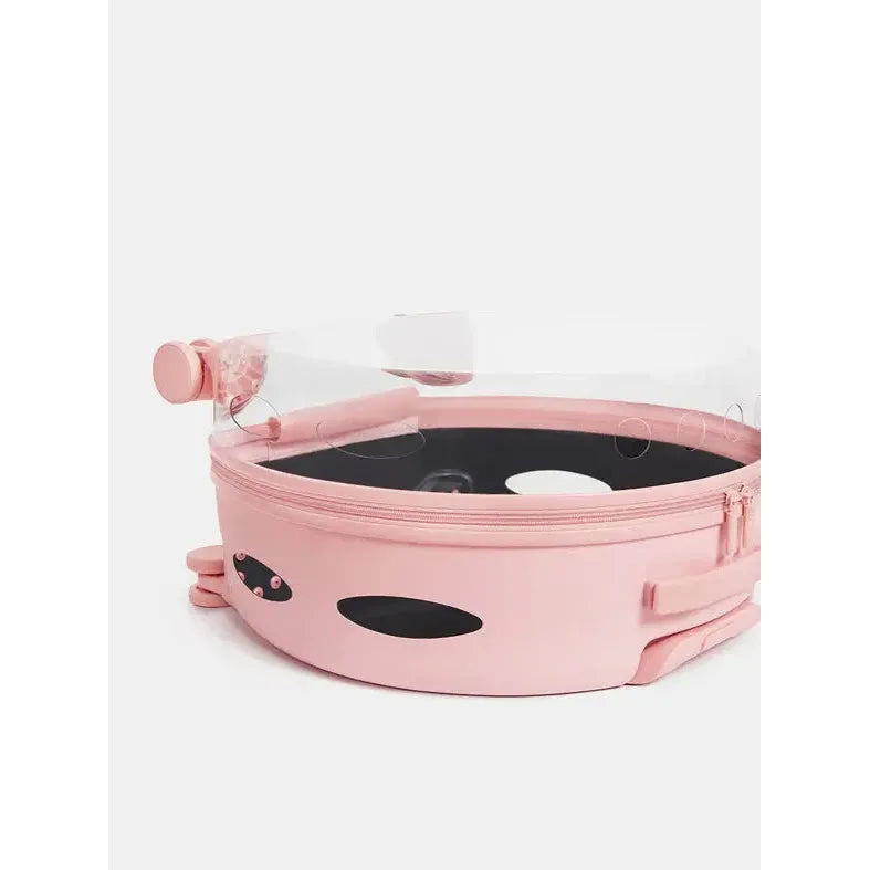 Vetreska Durable Polycarbonate Bubble Pet Carrier for Cats and Small Dogs