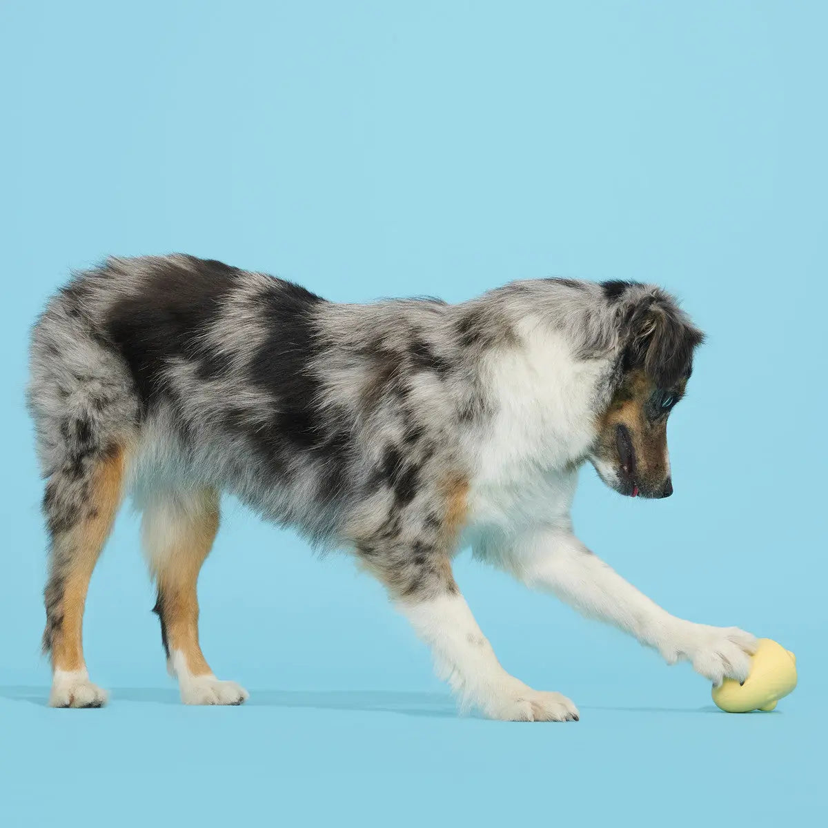 BARK Yellow Small/Medium Tough Chicken Dog Toy for Super Chewers
