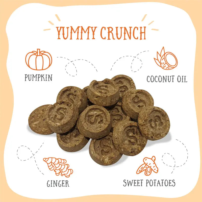 Health Extension Sammy Snacks All - Natural Pumpkin - Flavored Dog Treats, 8 - Ounce Pack