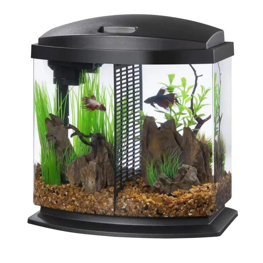 Aqueon 2.5 - gallon SmartClean Black LED Betta Bowl Aquarium Kit for Fish Keepers