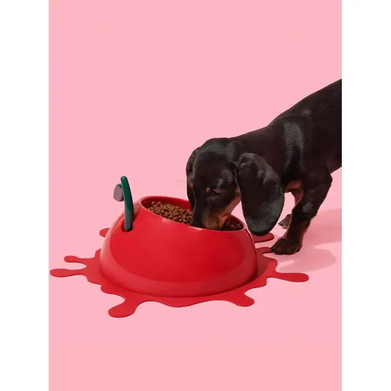 Vetreska Premium Juicy Pet Feeding Set: Bowl, Spoon and Non - Slip Mat in Tangerine Color