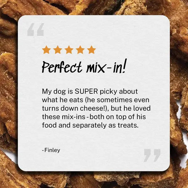 Yummers 5 oz Gourmet Turkey & Cranberry Recipe Dog Food Topper