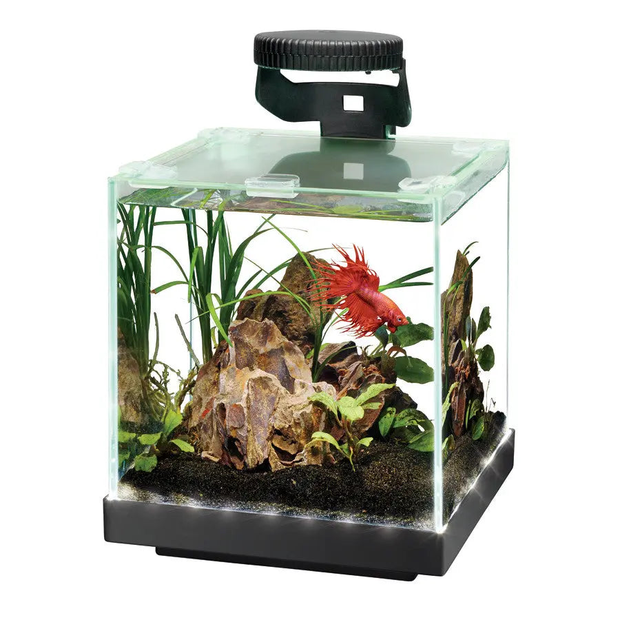 Aqueon Edge-Lit Cube Glass Freshwater and Saltwater Aquarium with Vibrant LED Lighting and Remote Control for Color Customization