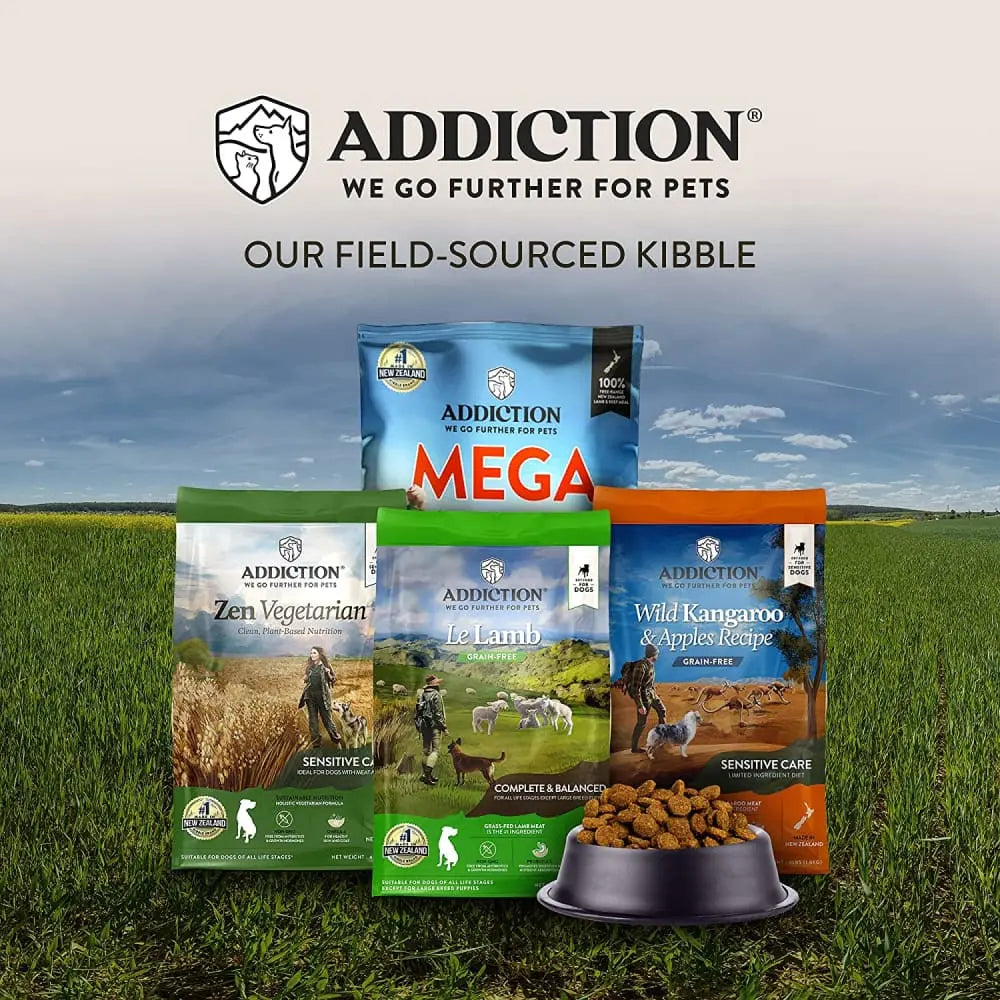 High - Quality Addiction Zen Vegetarian Grain - Free Dry Dog Food for Canine Companions