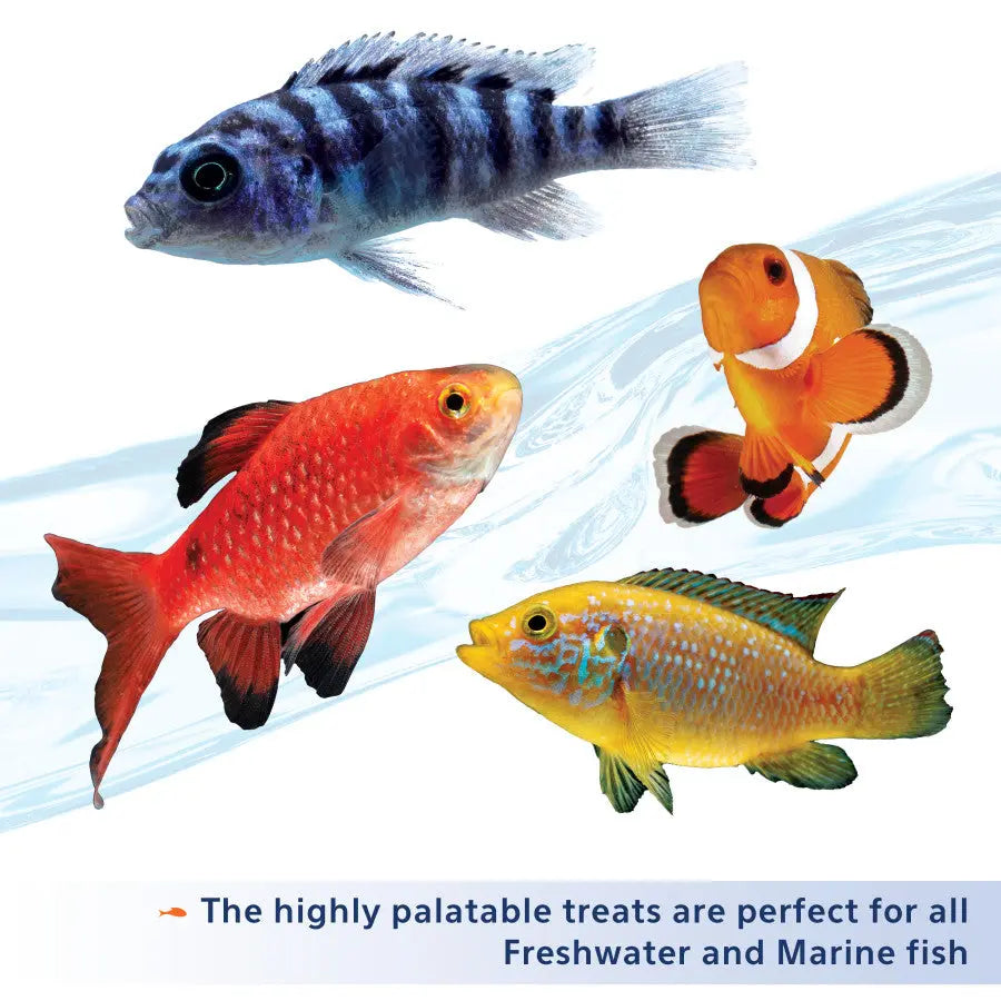 Aqueon Stick'ems Freeze-Dried Treats for Freshwater and Marine Fish - Premium Brine and Mysis Shrimp Fish Food