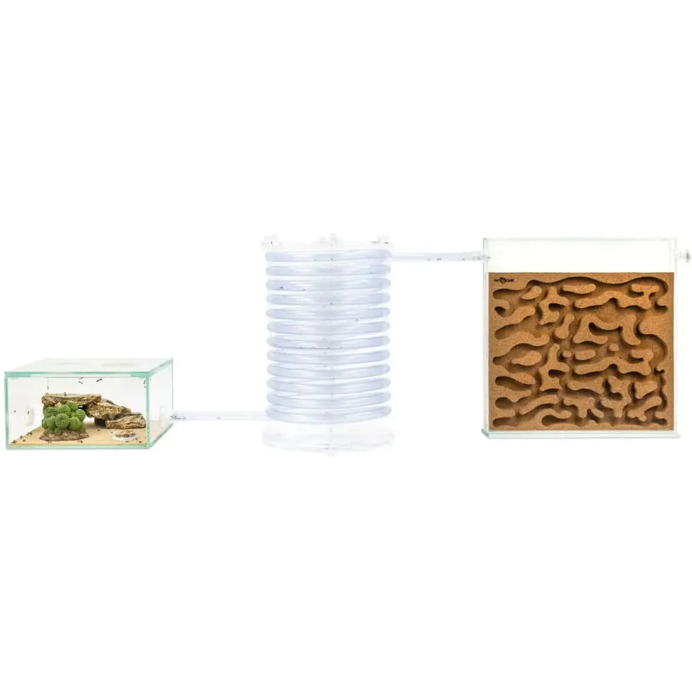 20cm Clear Ant Spiral Tower L for 20/16mm Hose Ant Farms