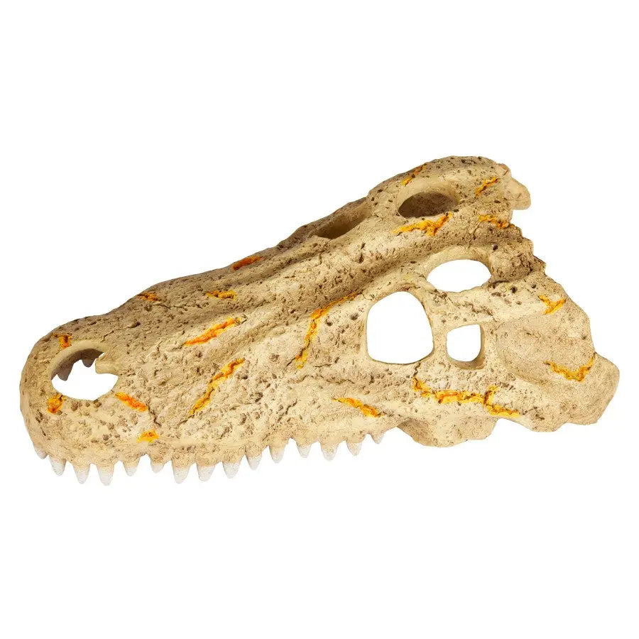 Zilla Decorative Crocodile Skull Rapid Sense Reptile Supply for Optimal UV Detection