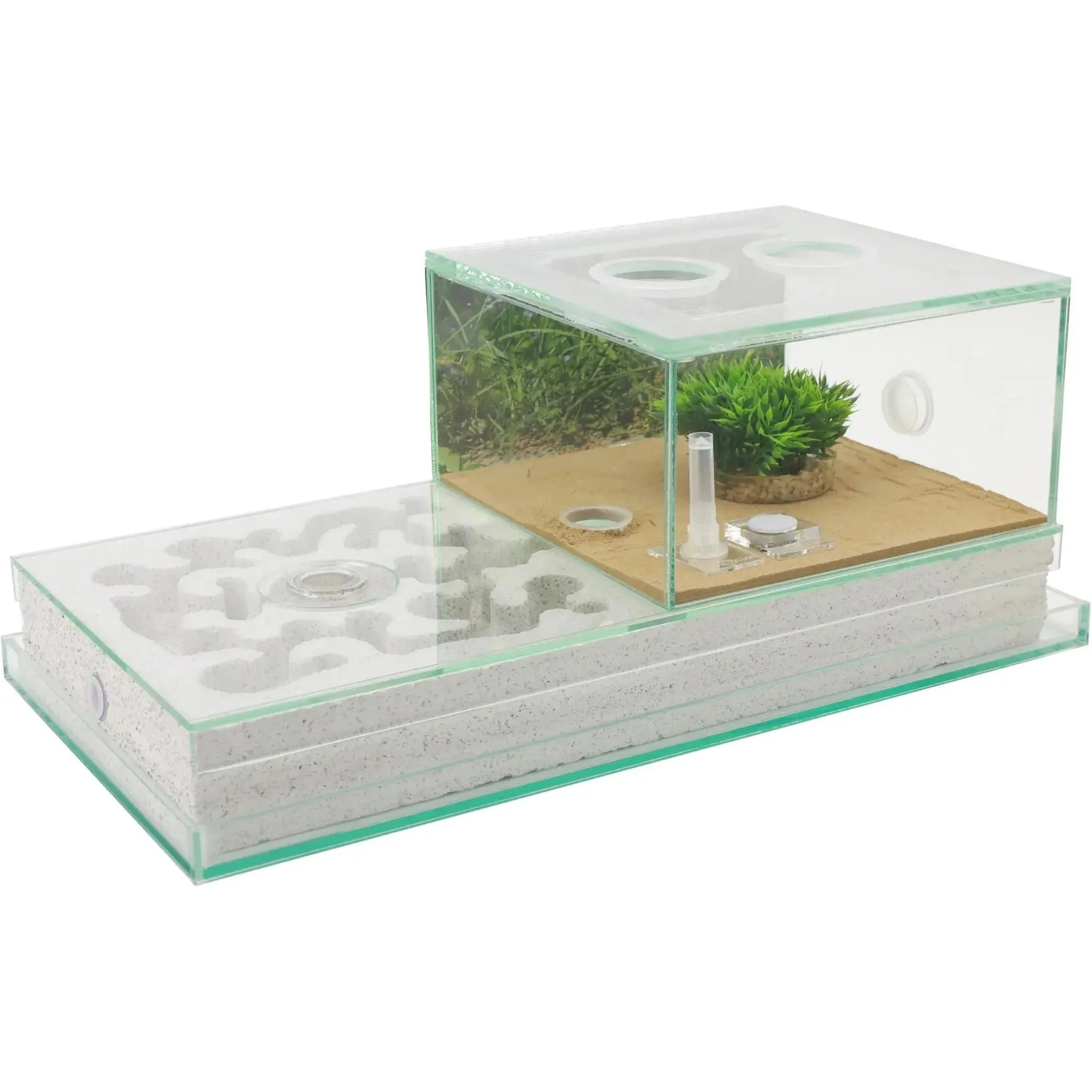 40×20 Ytong Aerated Concrete Ant Nest and Arena Combo Set