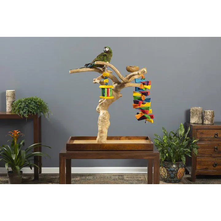 Prevue Pet Products Mini Table Top Playstand Made of Coffeawood for Small Birds