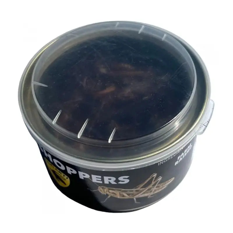 Lugarti’s Premium Canned Grasshoppers as Nutritious Reptile Food