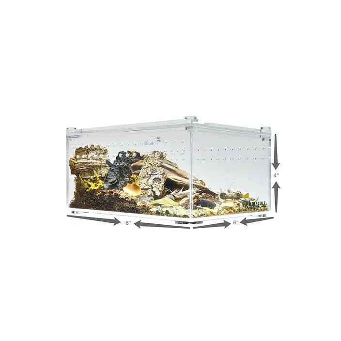 Small Flat Transparent Acrylic Enclosure - Ideal Terrarium Cage for Tarantula and Scorpion Breeding