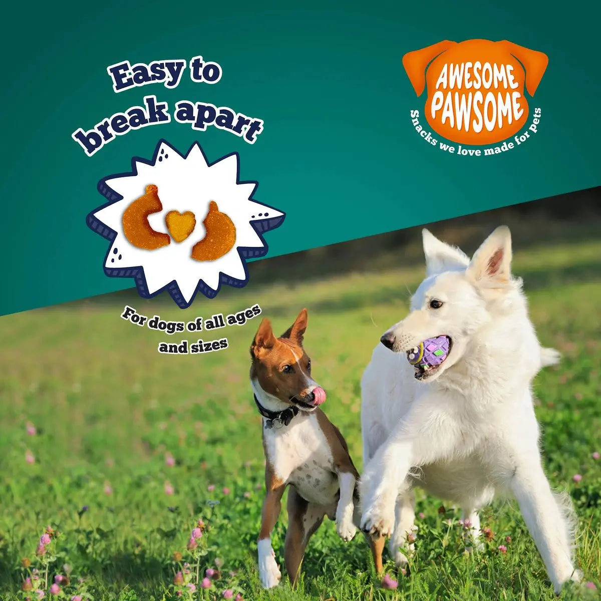 Incredibly Delightful Super Pumpkin Recipe Dog Treats - 3 Ounce Pack