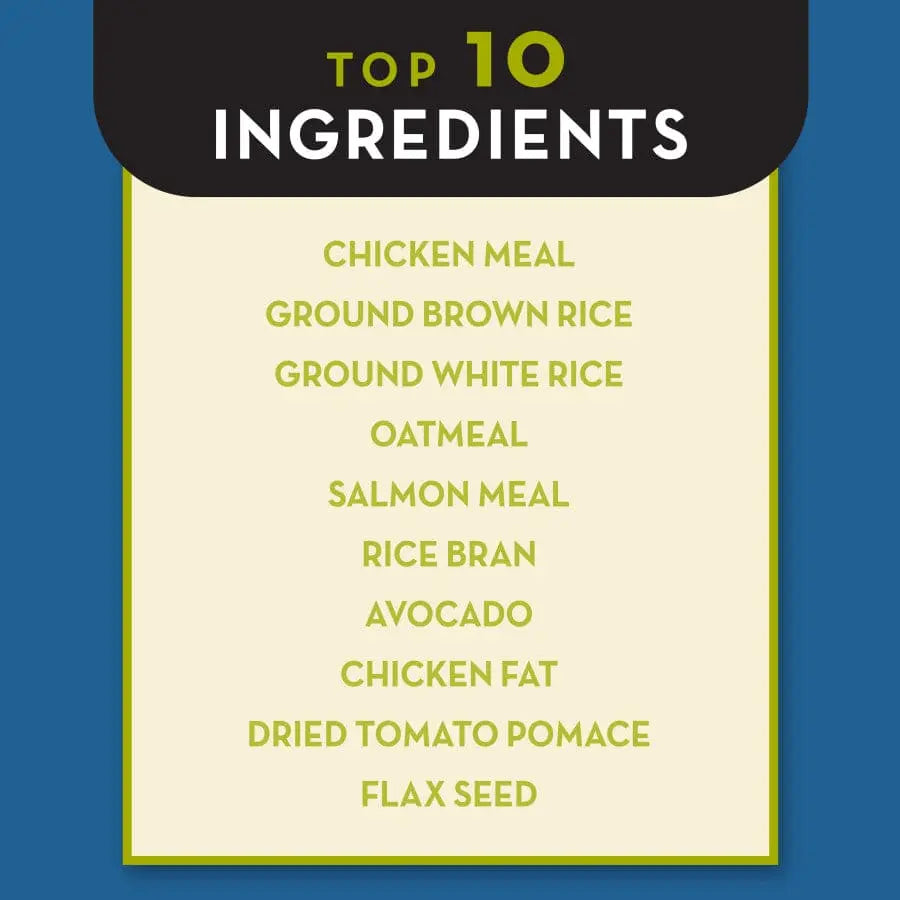AvoDerm Premium Natural Chicken Meal and Brown Rice Formula Dry Dog Food Specially Designed for Large Breed Dogs