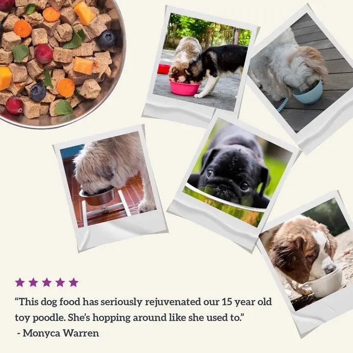 Health Extension Premium Gently Air - Dried Chicken Recipe Dog Food - 2 Pound Bag