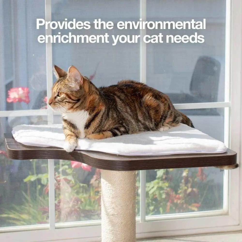 45-Inch Tall Ultimate Cat Window Perch, Climber, and Cat Tree