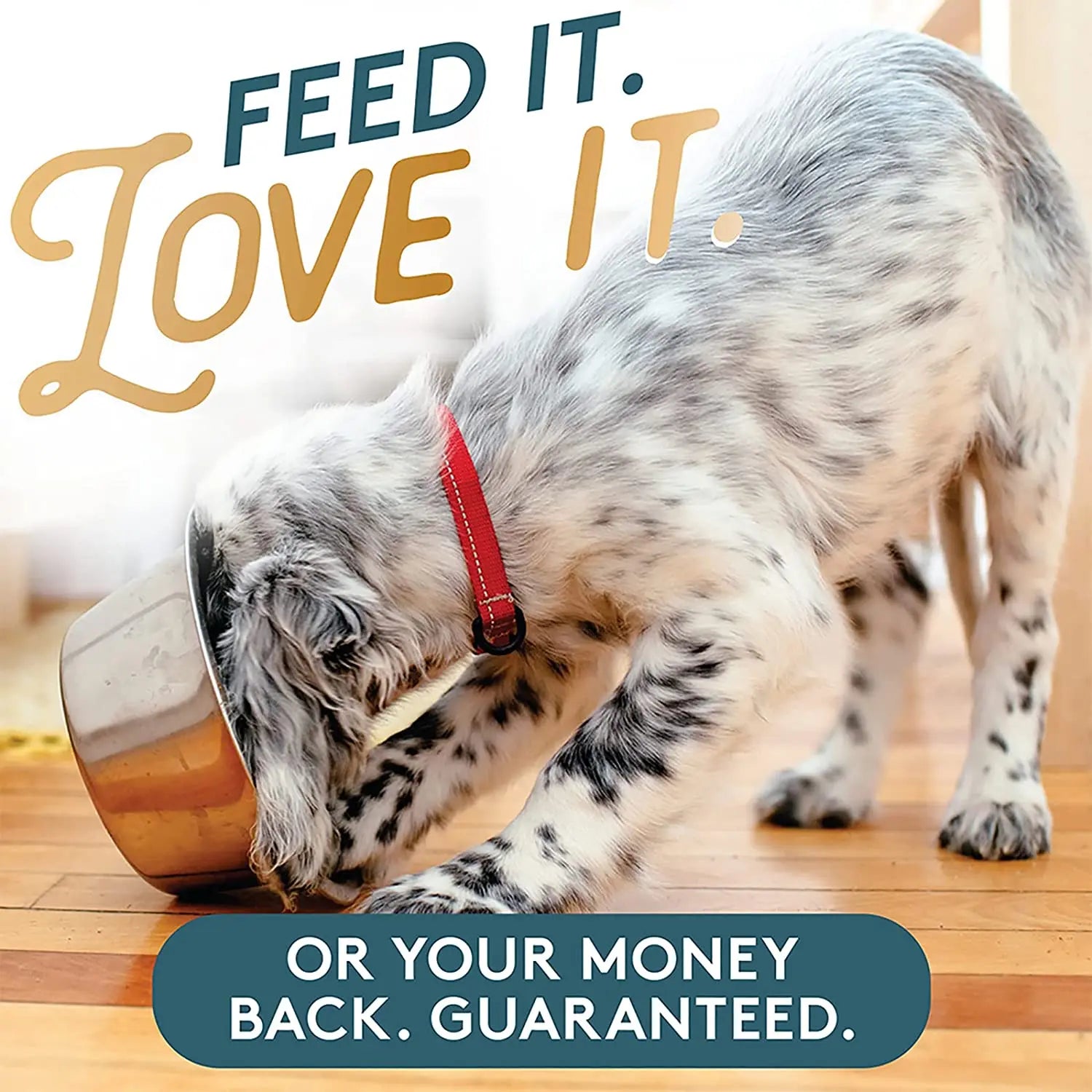 Missing Link Original Vegetarian Digestive Supplement for Dogs and Cats, 1 Pound