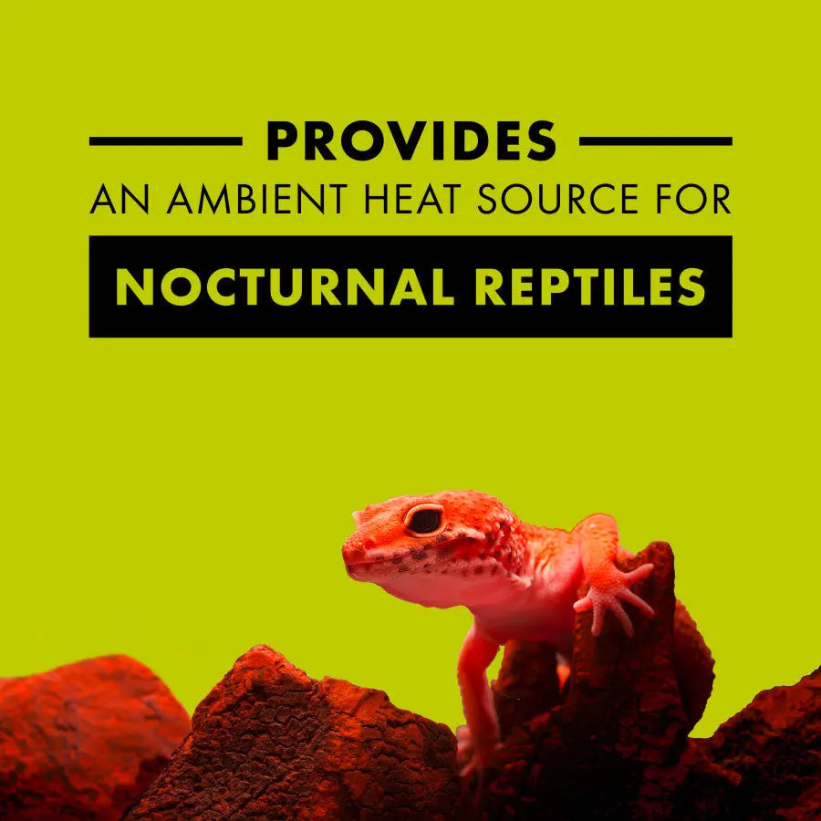 Zilla High - Quality Night Red Heat - Emitting Incandescent Lighting Bulb for Reptiles