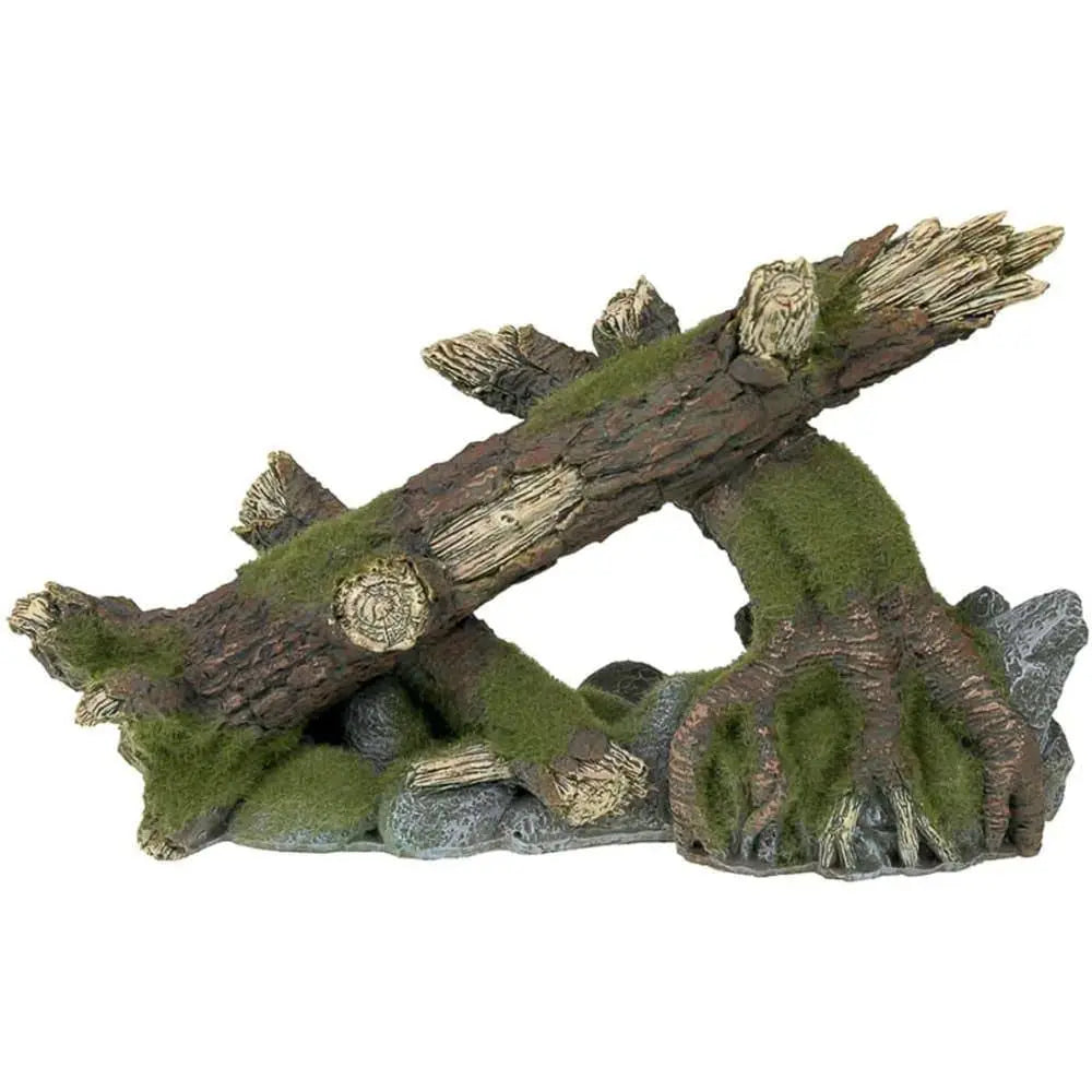 Exotic Blue Ribbon Moss - Covered Roots and Logs for Habitats