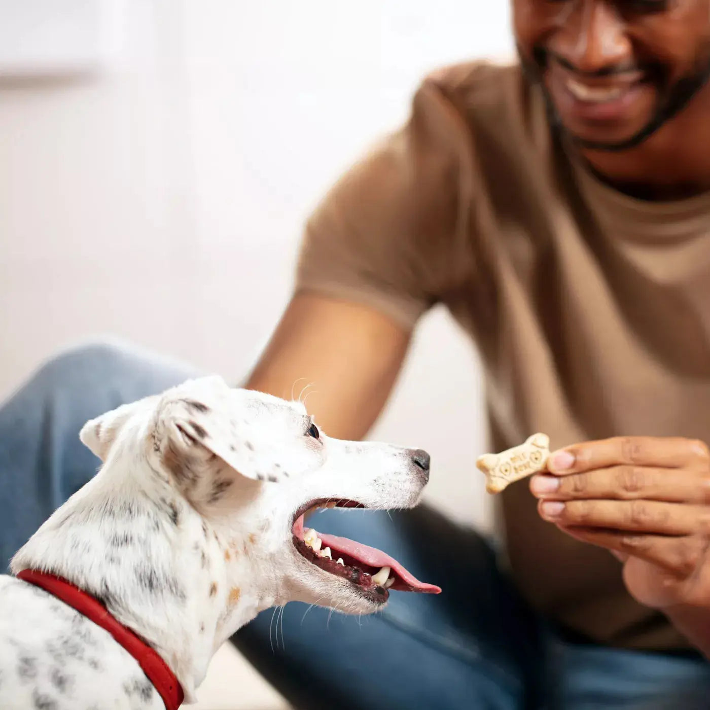 Original Milk-Bone Biscuits for Dogs - Tasty and Nutritious Canine Treats