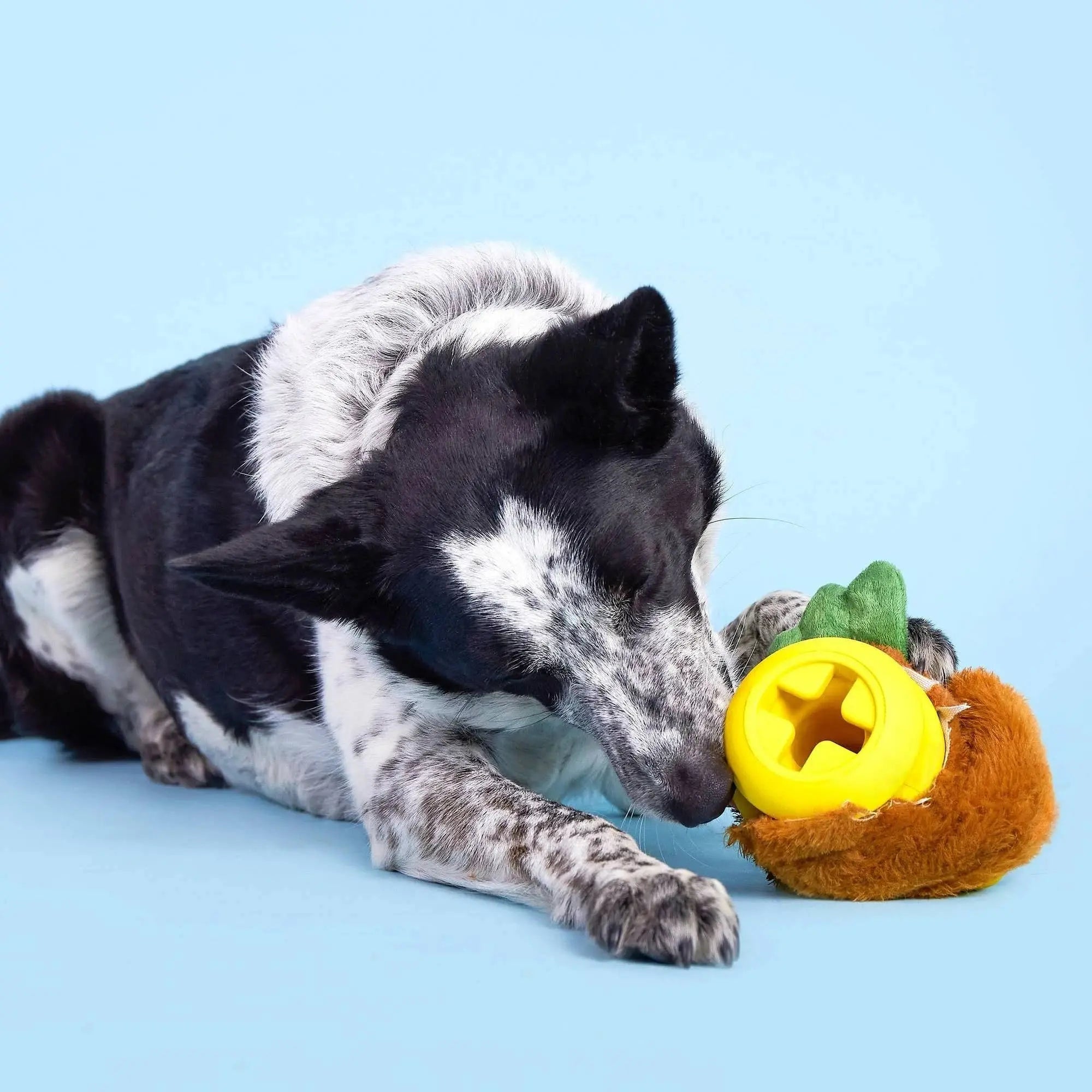 BARK Fowl Play Interactive Rooster Dog Chew Toys for Active Puppies