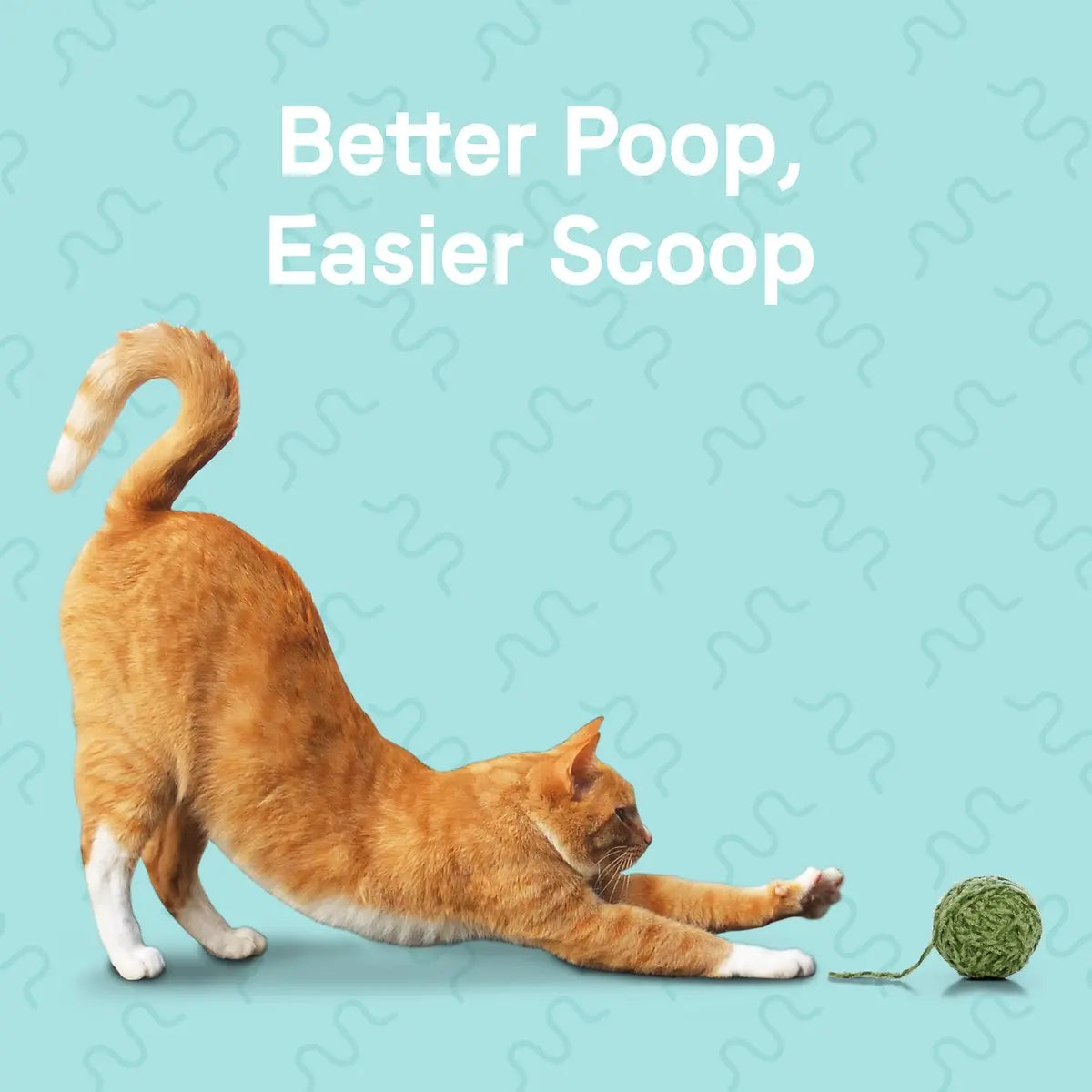 CANIDAE Real Chicken Dry Cat Food for Optimal Digestion