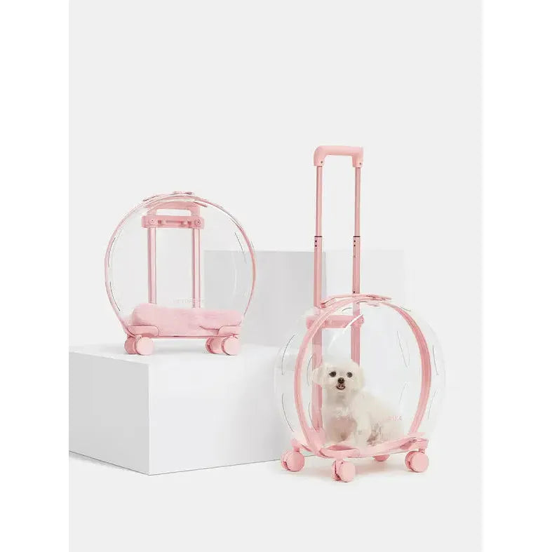 Vetreska Durable Polycarbonate Bubble Pet Carrier for Cats and Small Dogs