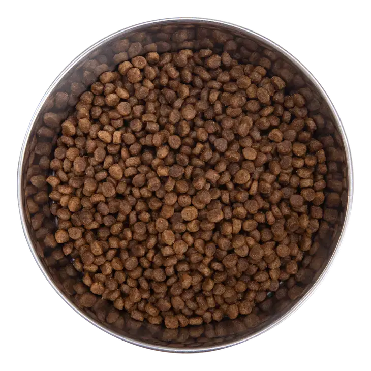 Health Extension Small Bites Lite Chicken and Brown Rice Formula Dry Dog Food for Overweight, Spayed, Neutered or Senior Dogs
