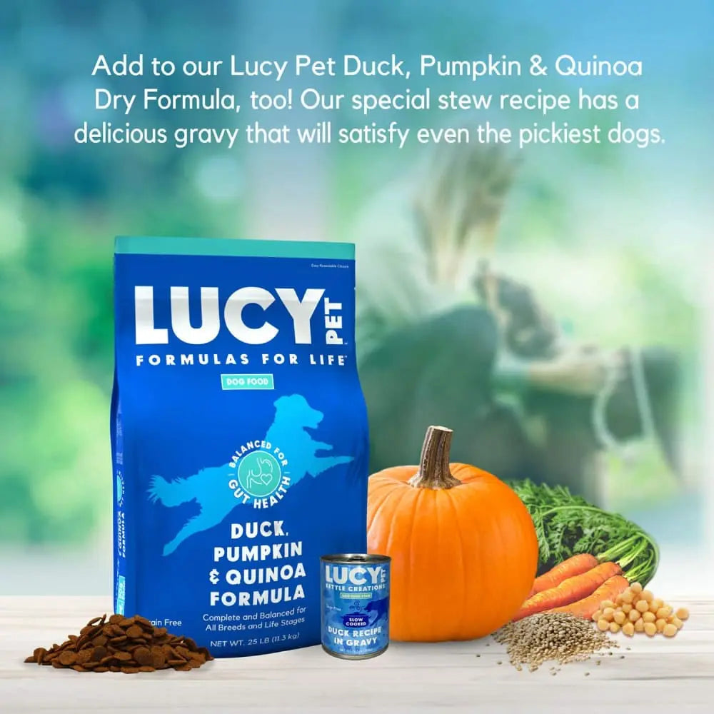 Lucy Pet Products Kettle Creations Recipe in Delicious Gravy Wet Dog Food Pack of 12 Cans, Each 12.5 Ounces