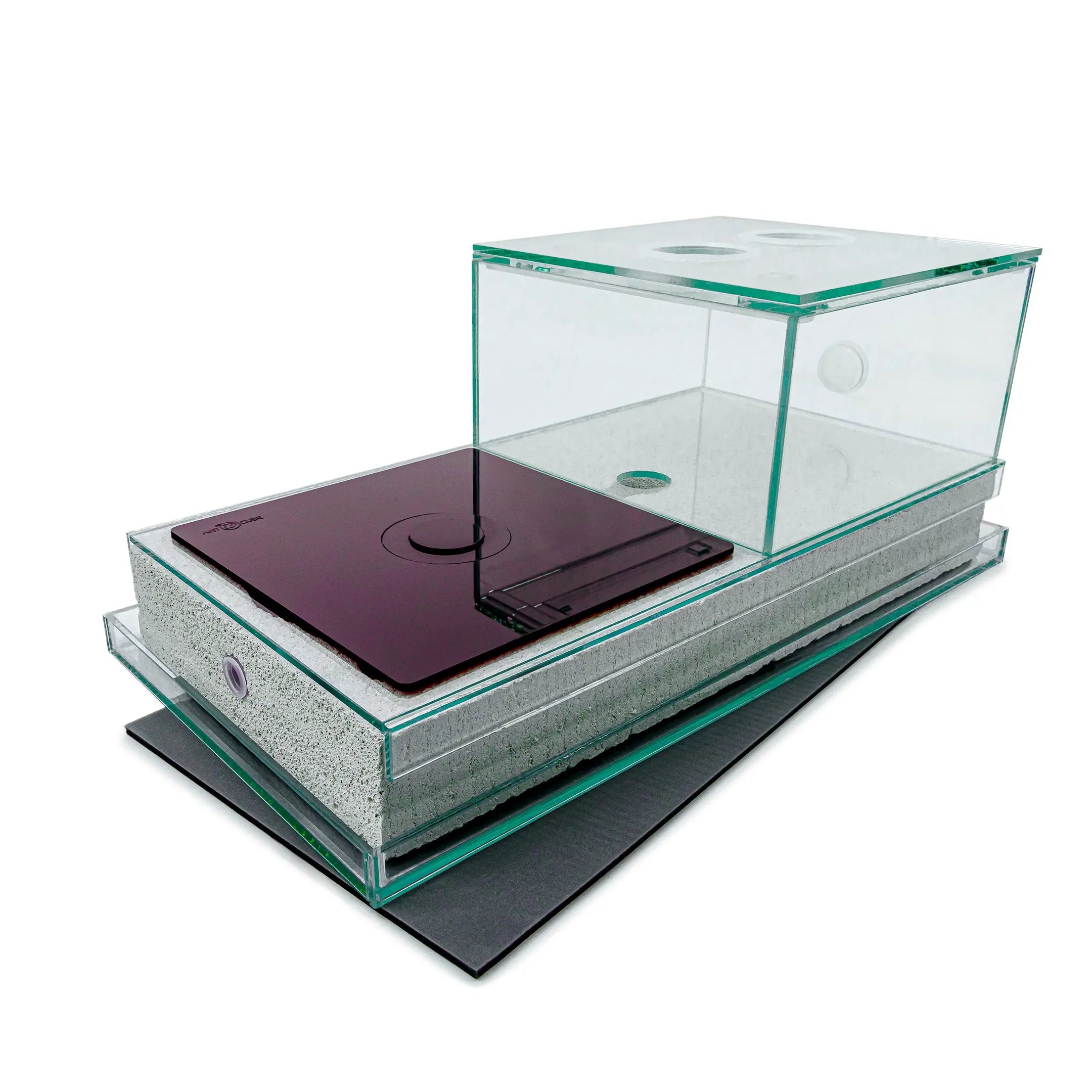 40×20 Ytong Aerated Concrete Ant Nest and Arena Combo Set