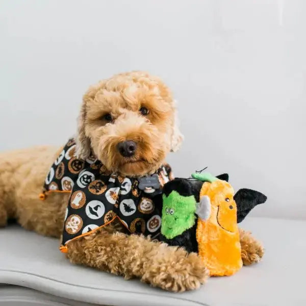ZippyPaws Halloween-themed Squeaky Dog Toys - Squeakie Buddies Set for Small Dogs