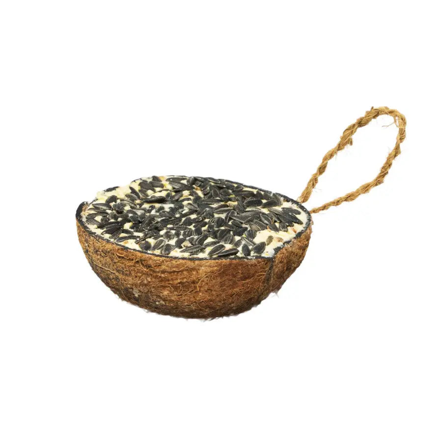 A & E Cages Garden & Fun Wild Bird Treat - 290 g Half Coconut Suet Blend with Black Oil Sunflower Seeds