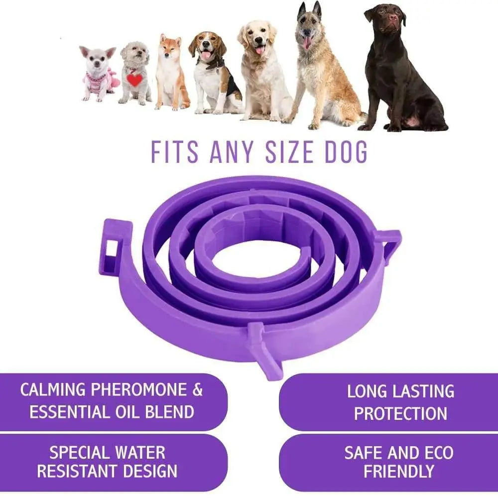 All - Natural Calming Collar for Dogs to Help Your Furry Friend Feel Secure, Happy and Relaxed