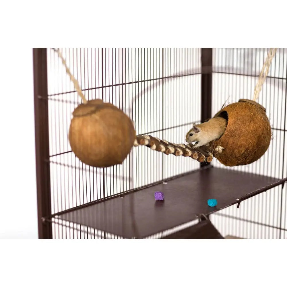 Prevue Pet BAGGED Hamster Treats - Mineral Chew Toys for Small Pets