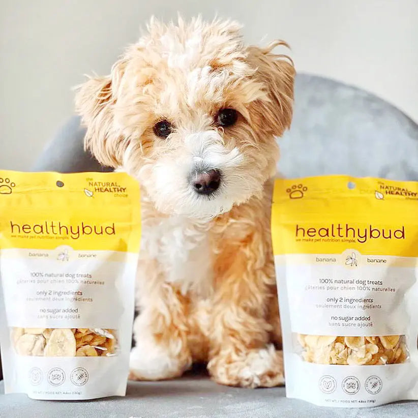 Healthybud 5.3 Oz Dehydrated Vegan Banana Crisps - Ideal Training Dog Treats