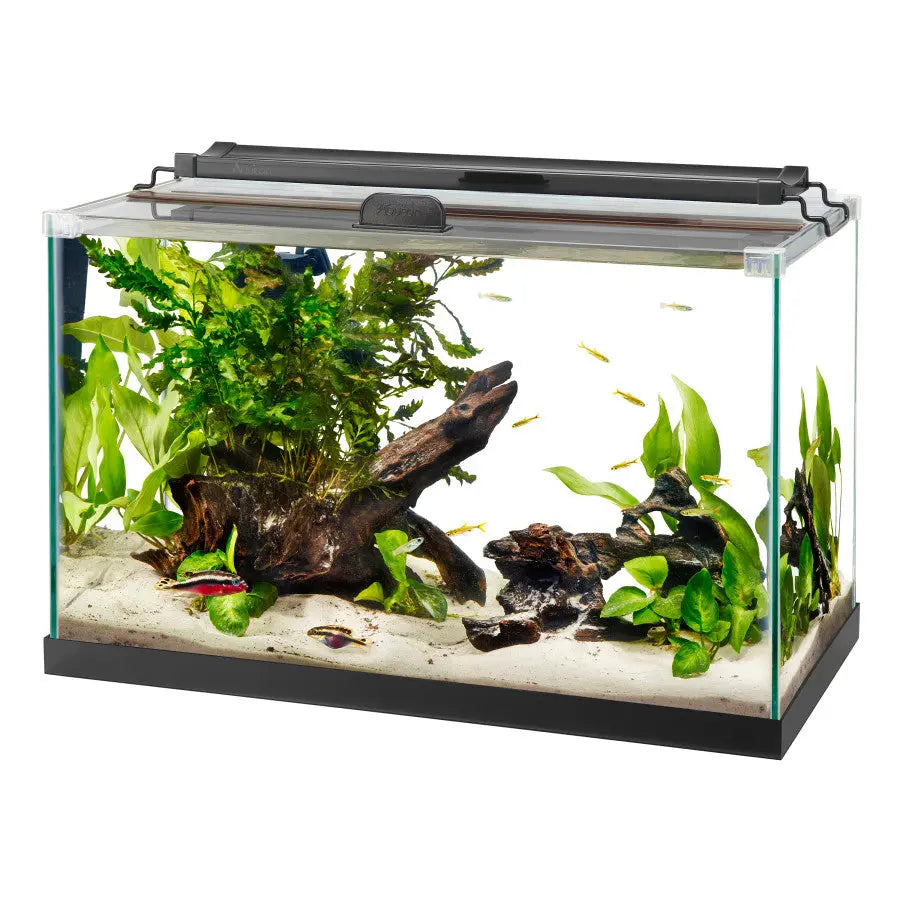 Aqueon Sleek Rimless Rectangular Aquarium with Sturdy Base