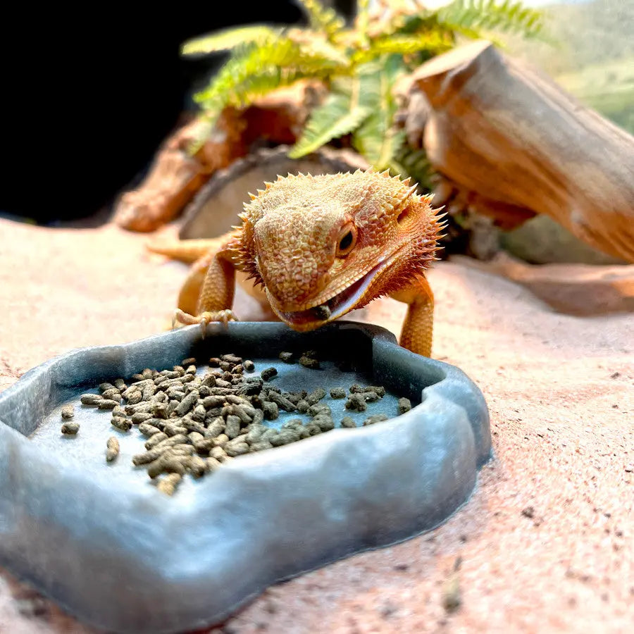 Zoo Med Premium Adult High Fiber Food for Bearded Dragons