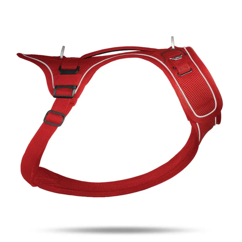 Belka Adjustable Step-in Reflective Harness for Big Dogs - Choke-Free Design
