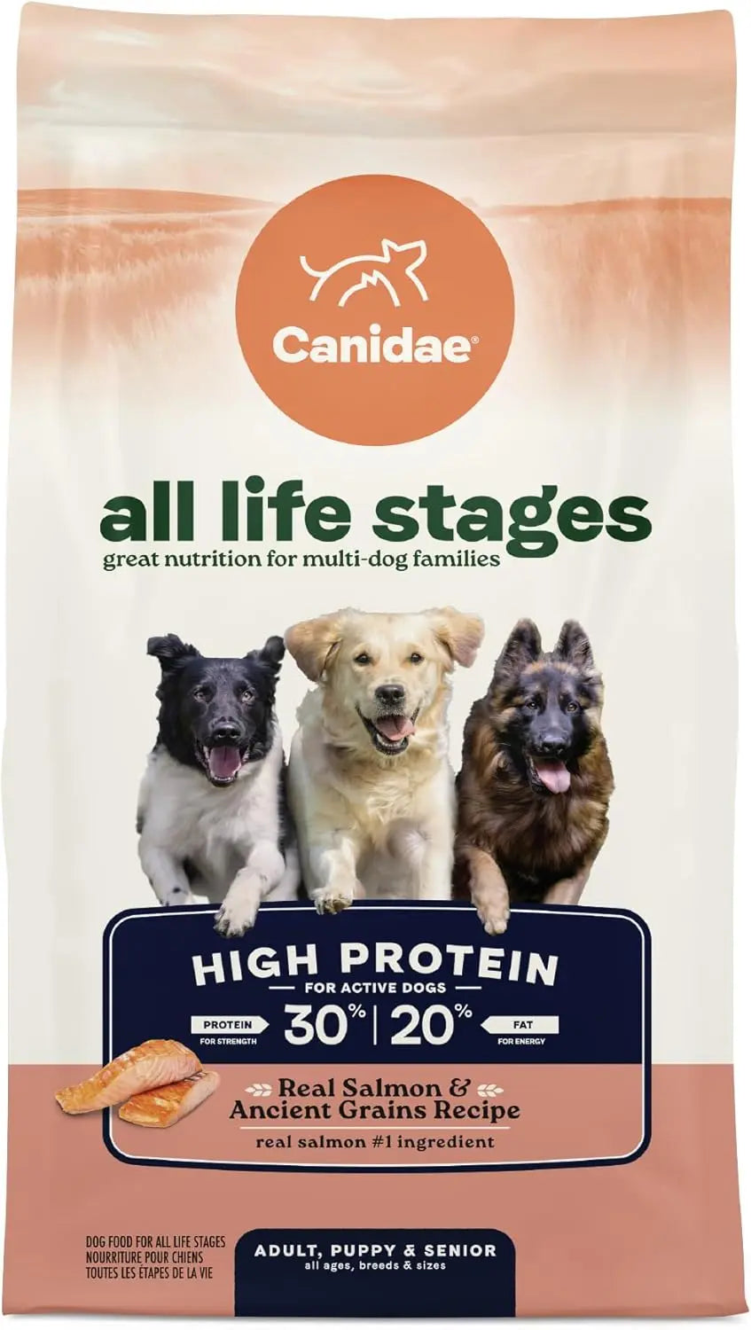 CANIDAE Premium All Life Stages Real Salmon and Ancient Grains Dry Dog Food for Canines of All Ages