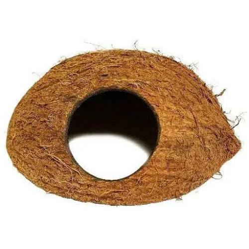 Lugarti's Premium CocoHut Hides for Dart Frogs