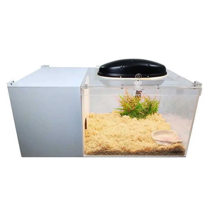 High - Quality Acrylic Terrarium Cage for Geckos, Chameleons, Snakes, and Hamsters