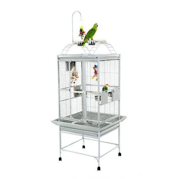 A & E Cages High - Quality 304 Stainless Steel Bird Cage with PlayTop