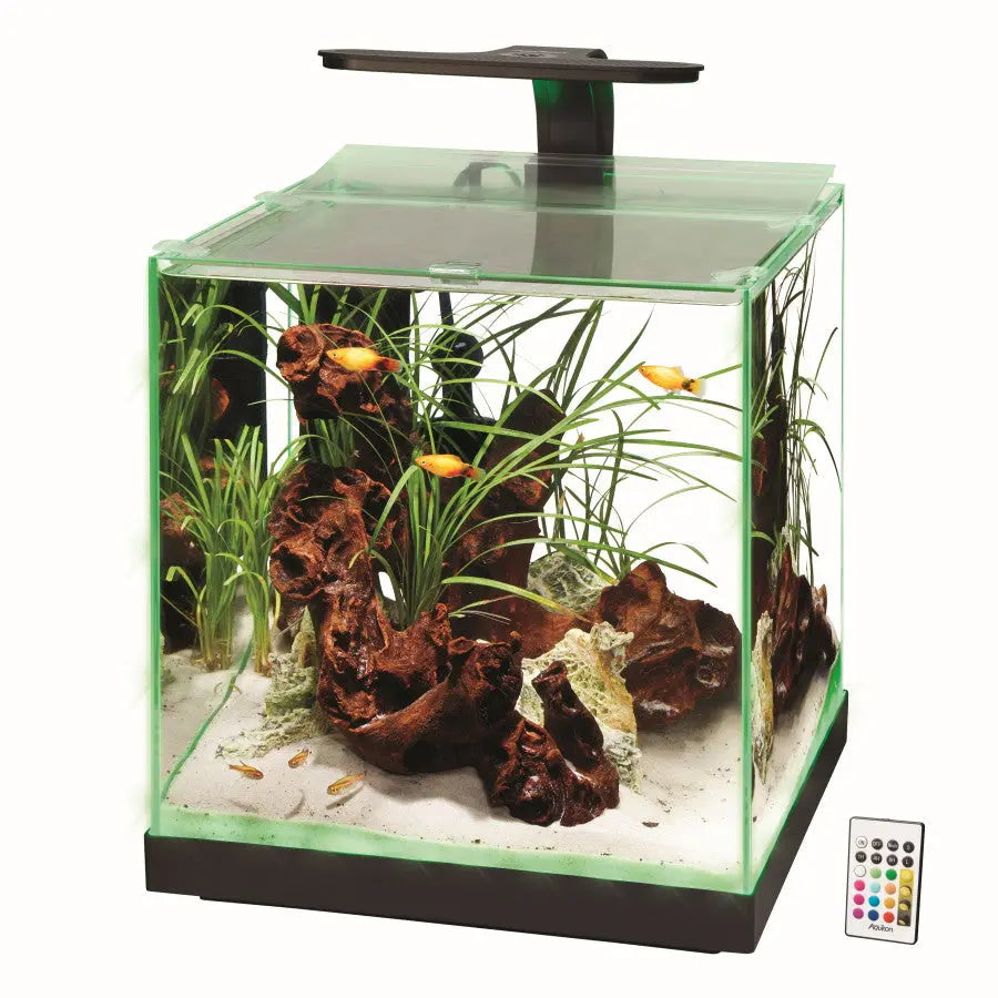 Aqueon Edge-Lit Cube Glass Freshwater and Saltwater Aquarium with Vibrant LED Lighting and Remote Control for Color Customization