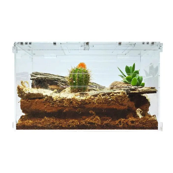 Large Transparent Acrylic Two-Way Enclosure for Reptile Breeding Terrarium Cage Tank