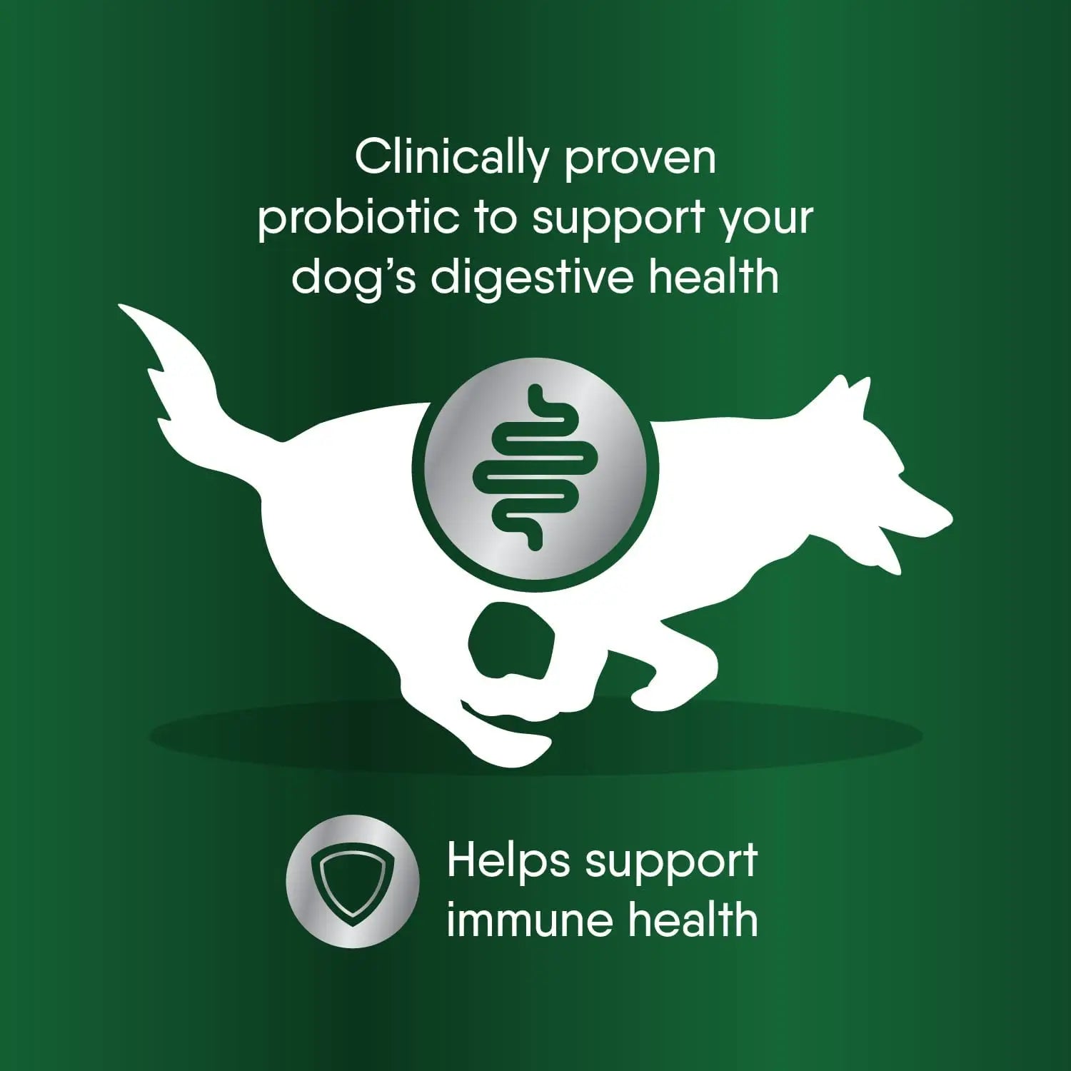 GREENIES High - Potency Digestive Probiotic Clinical - Strength Dietary Supplement for Dogs in 30 - Packet Pack