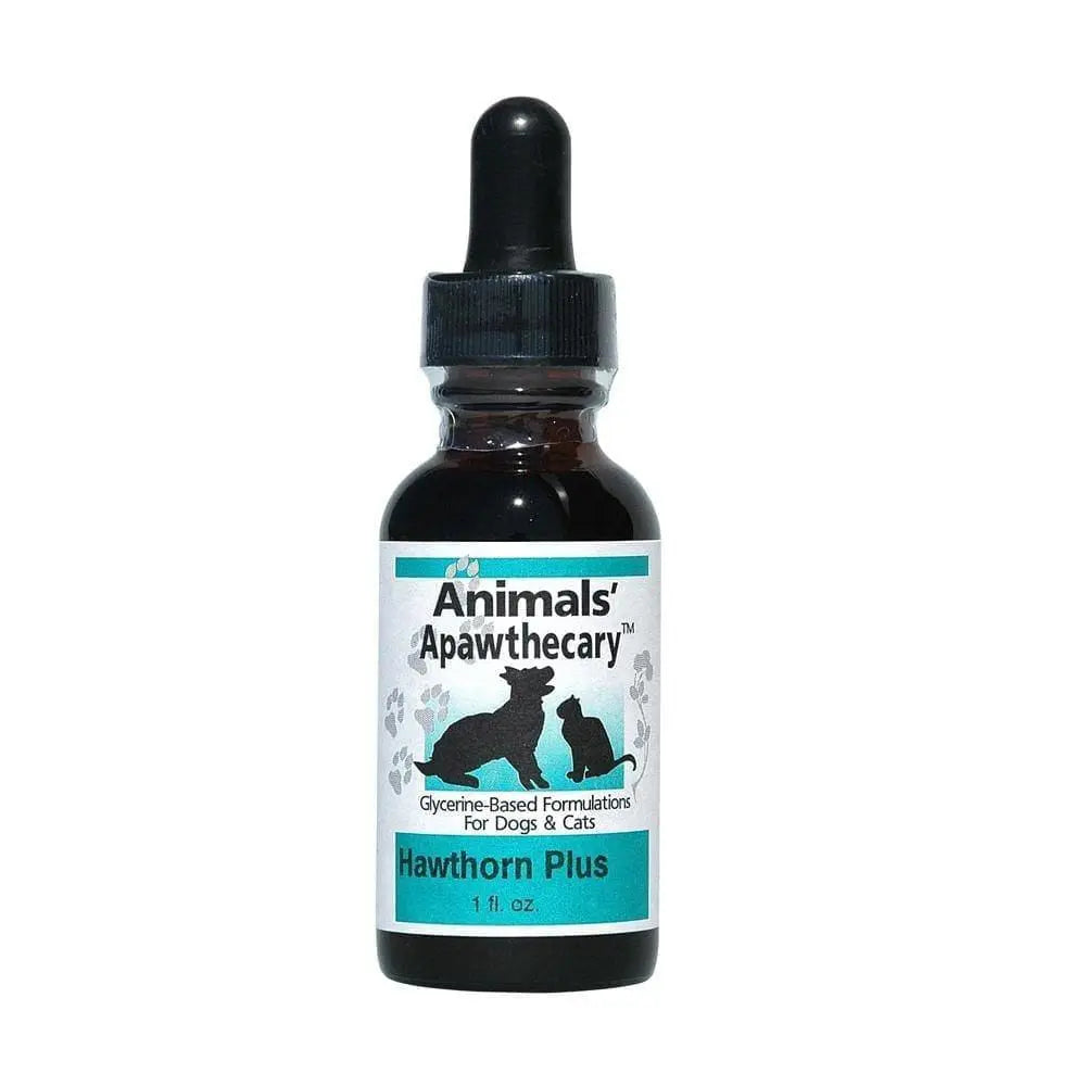 Animal Essentials® Cardiovascular Health Support Formula for Cats and Dogs, 1-Ounce Bottle
