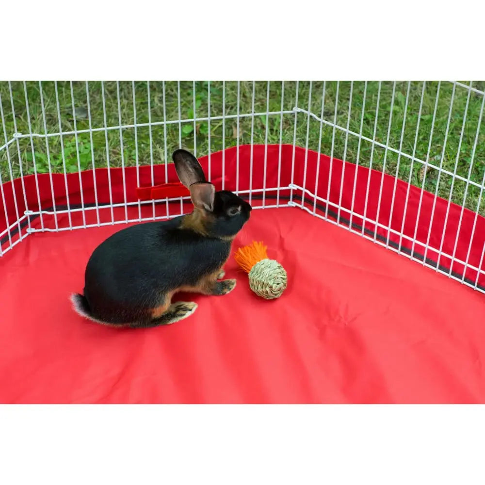 Prevue Pet Products Handmade Grassy Nibblers Squash Toy for Small Animals