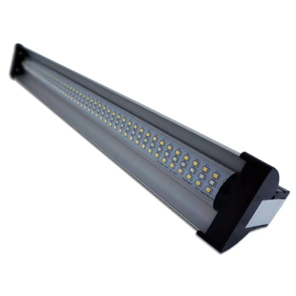Vivarium Electronics LED Day and Night Lighting System with Programmable Timer