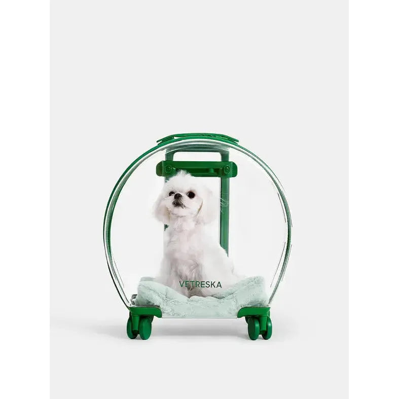 Vetreska Durable Polycarbonate Bubble Pet Carrier for Cats and Small Dogs